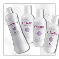 FRISETTE : zpracování formulářů - DEMERAL